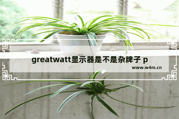 greatwatt显示器是不是杂牌子 pviww是什么显示器