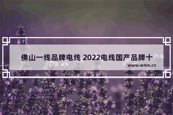 佛山一线品牌电线 2022电线国产品牌十大排名