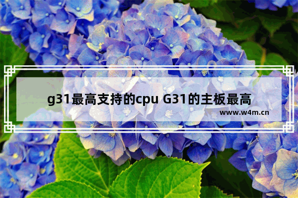 g31最高支持的cpu G31的主板最高能配置什么型号的CPU