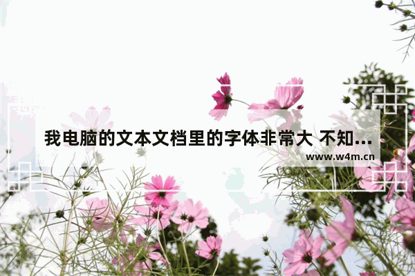 我电脑的文本文档里的字体非常大 不知道怎么的 怎样才能把他变回小点呢 笔记本电脑改字体