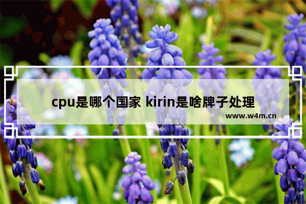 cpu是哪个国家 kirin是啥牌子处理器