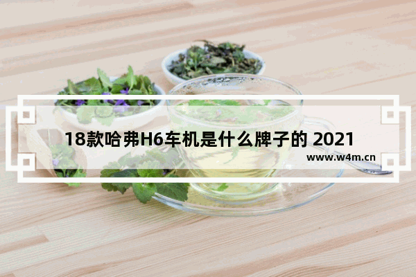 18款哈弗H6车机是什么牌子的 2021款哈弗h6都市版音响是什么牌子