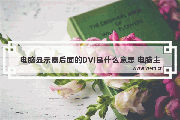 电脑显示器后面的DVI是什么意思 电脑主机后面那个dv1是什么意思