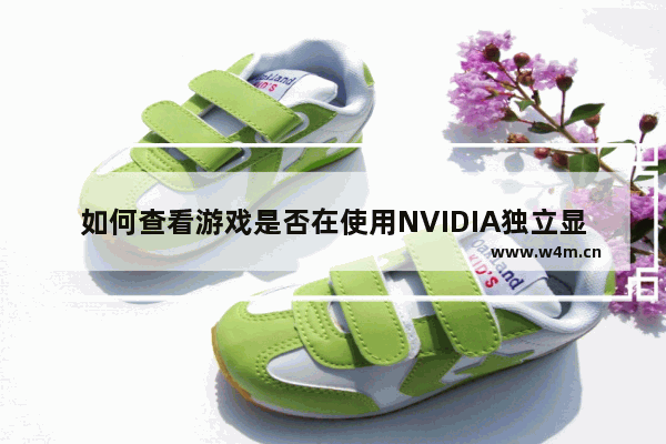 如何查看游戏是否在使用NVIDIA独立显卡 查询本机显卡