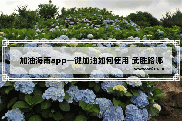 加油海南app一键加油如何使用 武胜路哪些地方客车可以充电桩