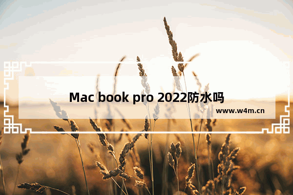 Mac book pro 2022防水吗 y7000p防水吗