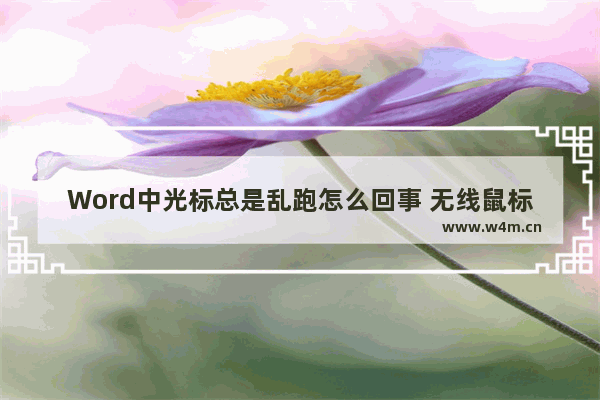 Word中光标总是乱跑怎么回事 无线鼠标光标乱跑怎么解决