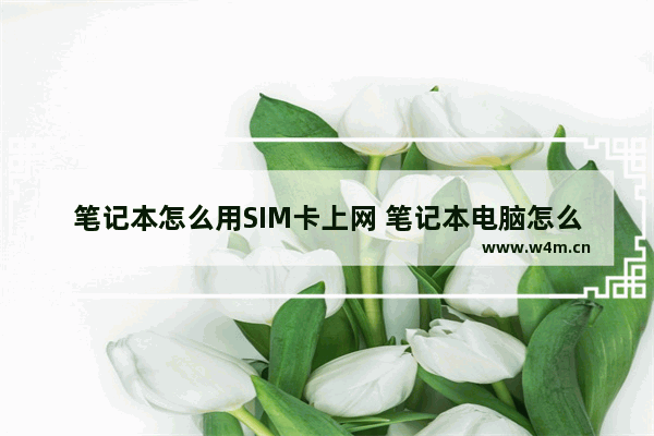 笔记本怎么用SIM卡上网 笔记本电脑怎么装手机sim卡上网