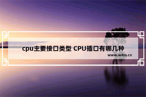 cpu主要接口类型 CPU插口有哪几种