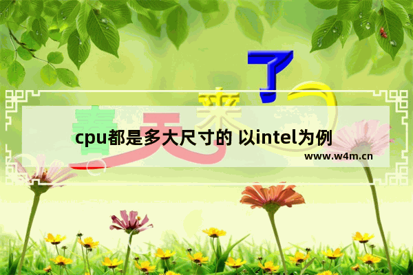 cpu都是多大尺寸的 以intel为例 帮我汇总下各芯片组对应的针脚和有哪些cpu 加对应的主板型号 求解答谢谢了