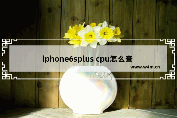 iphone6splus cpu怎么查 查看6s cpu