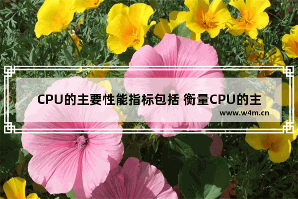 CPU的主要性能指标包括 衡量CPU的主要性能指标是哪七个啊