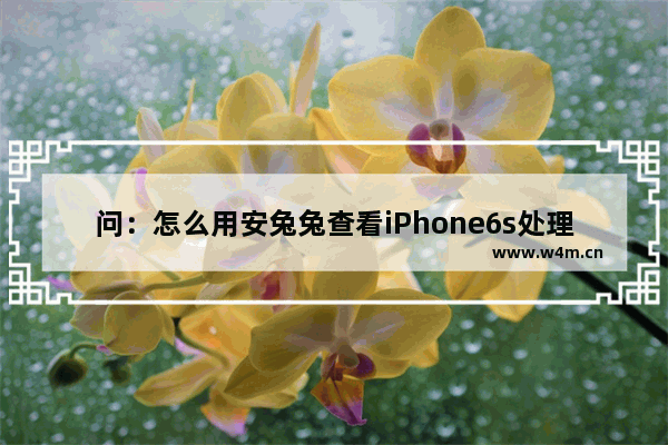 问：怎么用安兔兔查看iPhone6s处理器是三星的还是台积电的 6s怎么看cpu