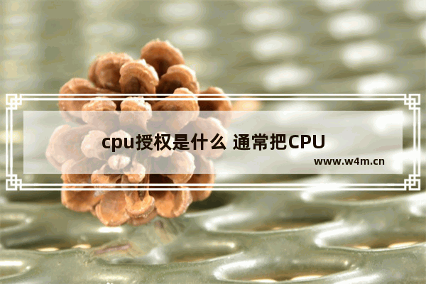 cpu授权是什么 通常把CPU