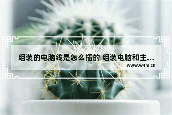 组装的电脑线是怎么插的 组装电脑和主板连接线