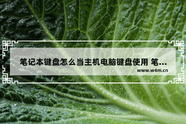 笔记本键盘怎么当主机电脑键盘使用 笔记本键盘不灵敏的解决方法