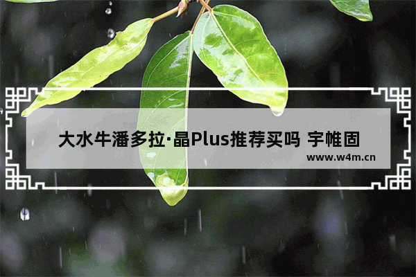 大水牛潘多拉·晶Plus推荐买吗 宇帷固态硬盘怎么样