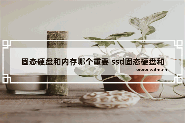 固态硬盘和内存哪个重要 ssd固态硬盘和内存条