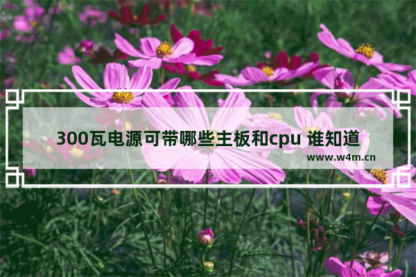 300瓦电源可带哪些主板和cpu 谁知道电视机主板所有零件的名称 谢谢