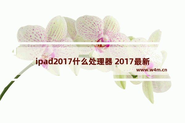 ipad2017什么处理器 2017最新的cpu