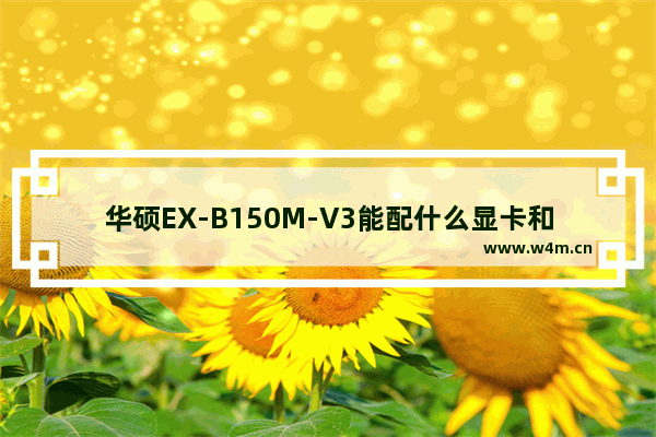 华硕EX-B150M-V3能配什么显卡和内存 测试显卡内存