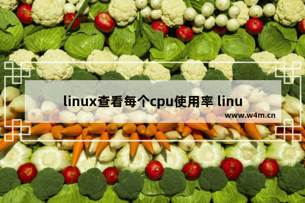 linux查看每个cpu使用率 linux查看进程的cpu