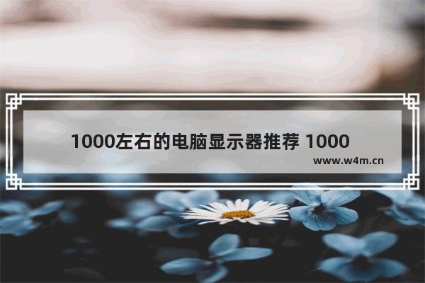 1000左右的电脑显示器推荐 1000 显示器