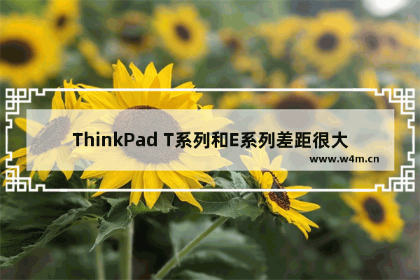 ThinkPad T系列和E系列差距很大么 ibmr61i 加固态硬盘