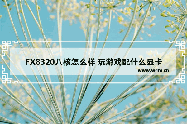 FX8320八核怎么样 玩游戏配什么显卡比较好 请高手指点 游戏高手显卡