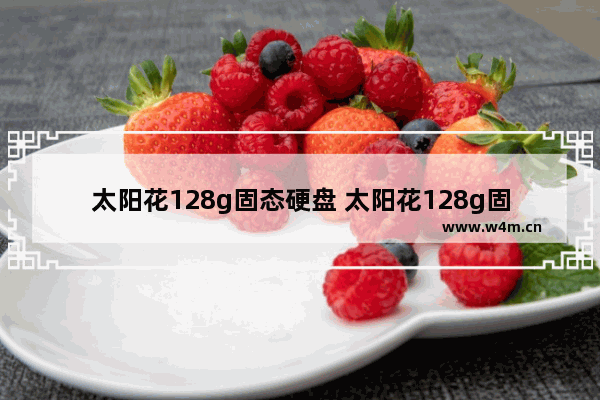 太阳花128g固态硬盘 太阳花128g固态硬盘