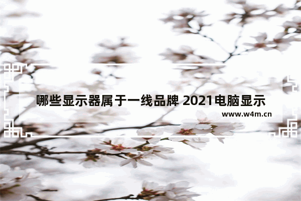 哪些显示器属于一线品牌 2021电脑显示屏哪个品牌好