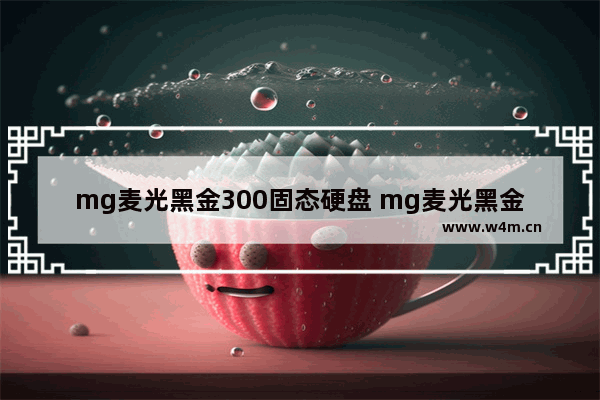 mg麦光黑金300固态硬盘 mg麦光黑金300固态硬盘