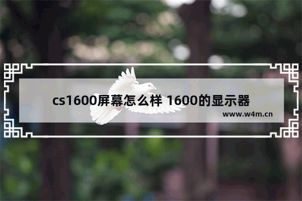 cs1600屏幕怎么样 1600的显示器