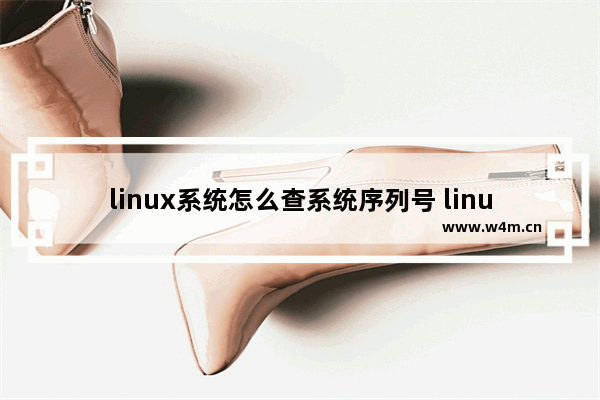 linux系统怎么查系统序列号 linux 查 cpu