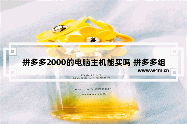 拼多多2000的电脑主机能买吗 拼多多组装电脑品牌哪个好