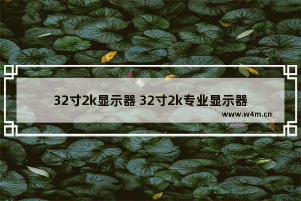 32寸2k显示器 32寸2k专业显示器