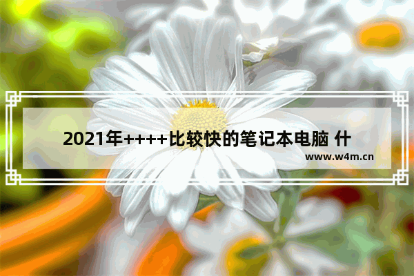 2021年++++比较快的笔记本电脑 什么笔记本运行steam大型游戏不卡