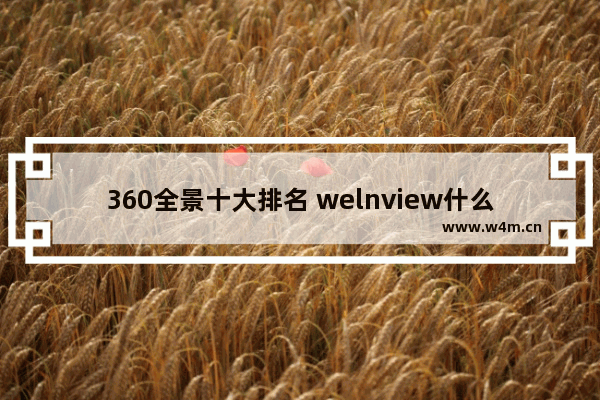 360全景十大排名 welnview什么品牌