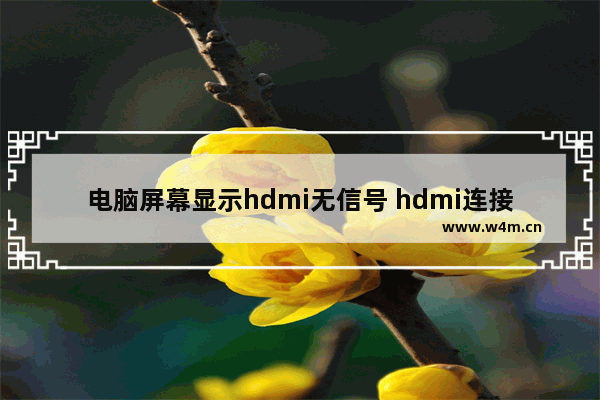 电脑屏幕显示hdmi无信号 hdmi连接显示器无信号怎么设置