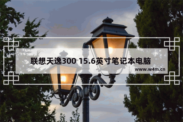 联想天逸300 15.6英寸笔记本电脑 应该加什么型号的内存条 本机自带 联想天逸300加固态硬盘