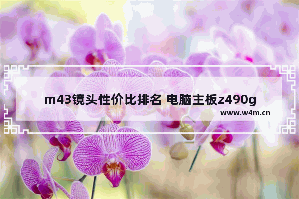 m43镜头性价比排名 电脑主板z490g