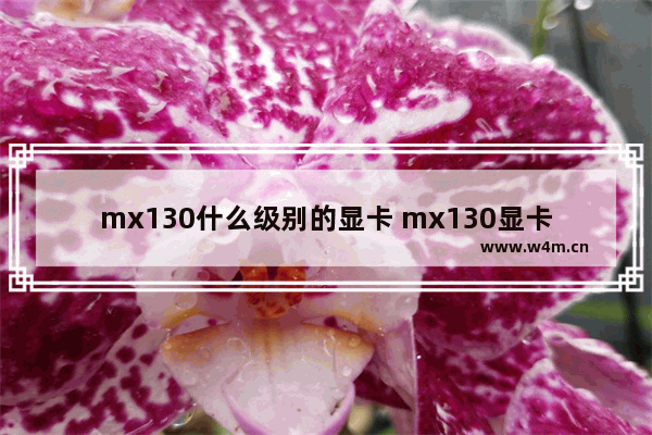 mx130什么级别的显卡 mx130显卡