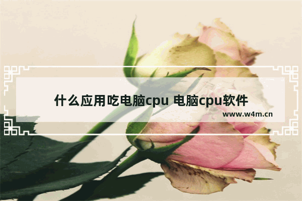 什么应用吃电脑cpu 电脑cpu软件