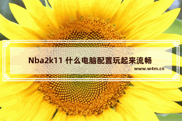 Nba2k11 什么电脑配置玩起来流畅 梅捷120g固态硬盘