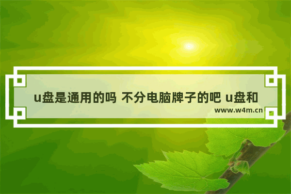 u盘是通用的吗 不分电脑牌子的吧 u盘和电脑需要同一品牌吗