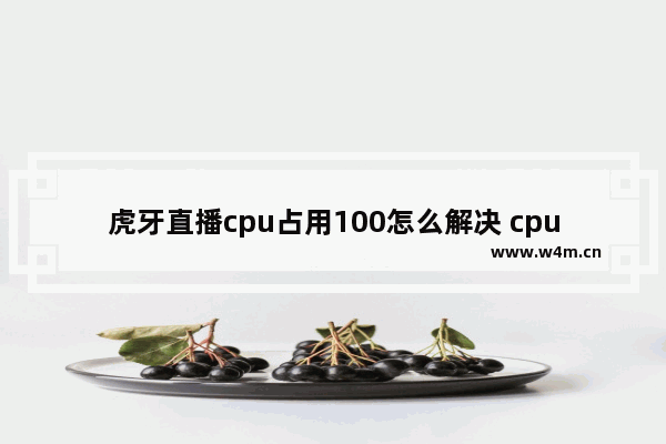 虎牙直播cpu占用100怎么解决 cpu 优化工具