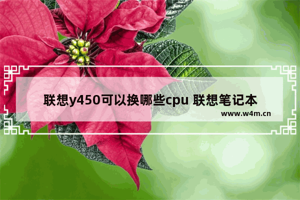 联想y450可以换哪些cpu 联想笔记本电脑y450的cpu可以升级吗