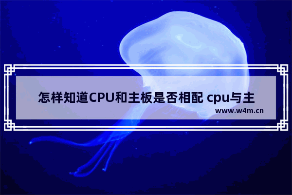 怎样知道CPU和主板是否相配 cpu与主板匹配的