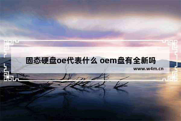 固态硬盘oe代表什么 oem盘有全新吗