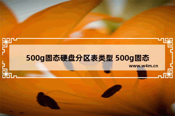 500g固态硬盘分区表类型 500g固态硬盘c盘分多大够用